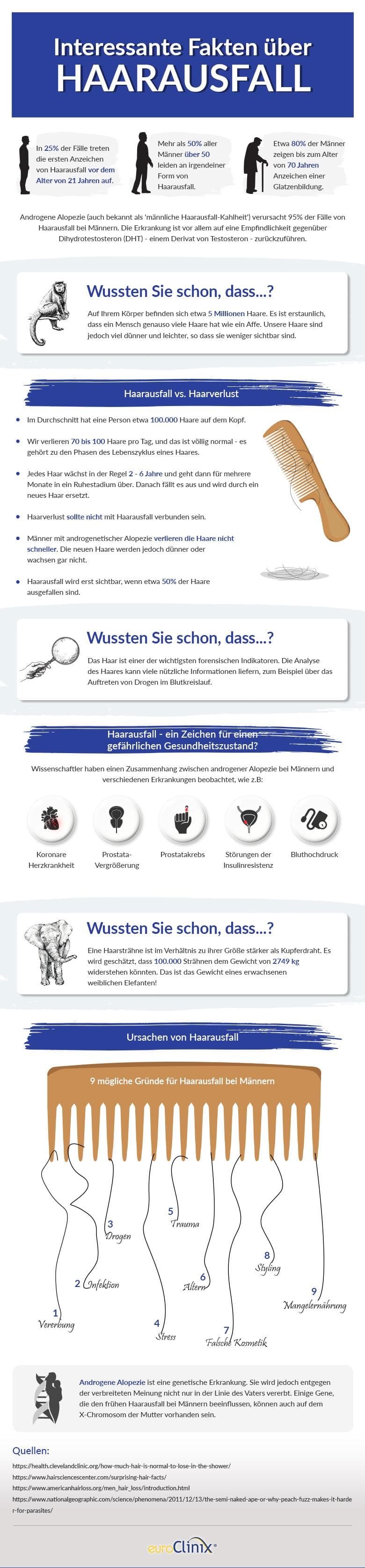 Infografik über Haarausfall Infografik über Haarausfall