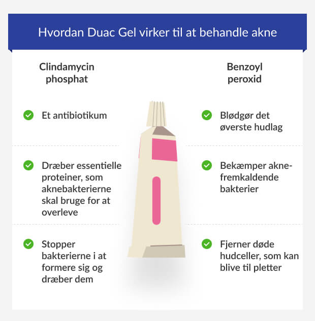 grafik, der viser, hvordan de to ingredienser i Duac gel virker mod akne.