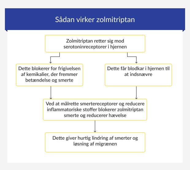 Trin-for-trin guide til, hvordan zolmitriptan virker