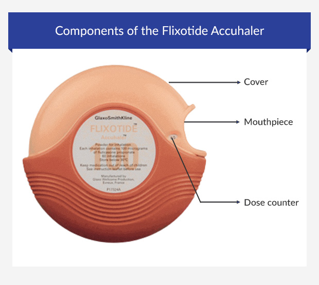 Components of a Flixotide Evohaler