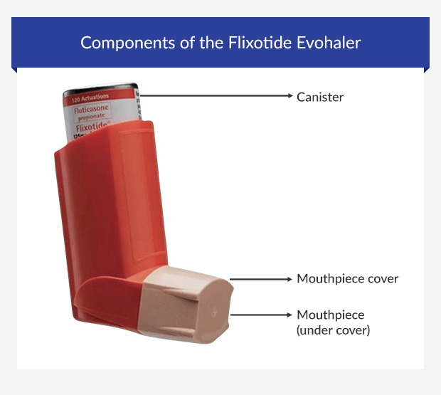 Components of the Flixotide Accuhaler