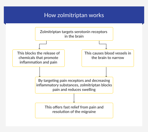 Step-by-step guide of how zolmitriptan works