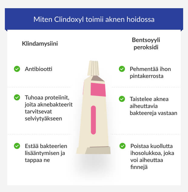Grafiikka Clindoxyl-geelin kahden ainesosan vaikutuksista akneen.