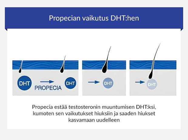 Grafiikka Propecian vaikutuksesta DHT:hen