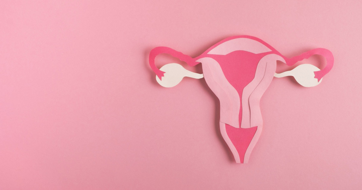 Modèle décoratif en 2D d'un utérus sur fond rose.