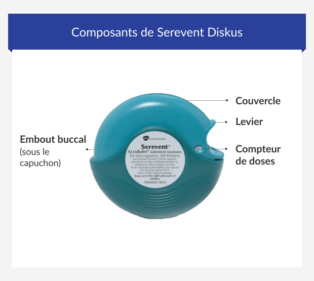 Composants de Serevent Diskus