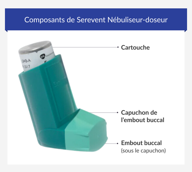 Composants de Serevent Nébuliseur-doseur