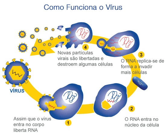 Como funciona o vírus