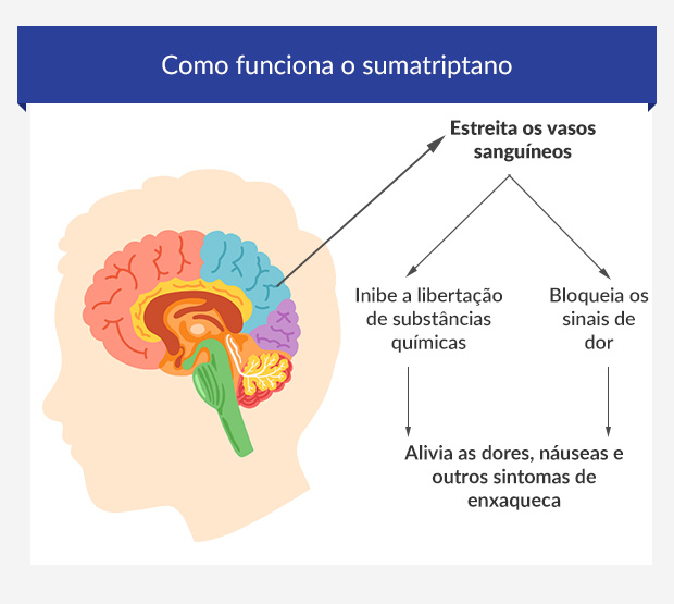 Gráfico a mostrar como o sumatriptano atua no cérebro