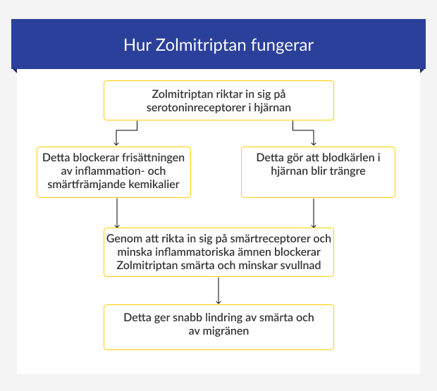 Steg-för-steg-guide om hur Zolmitriptan fungerar