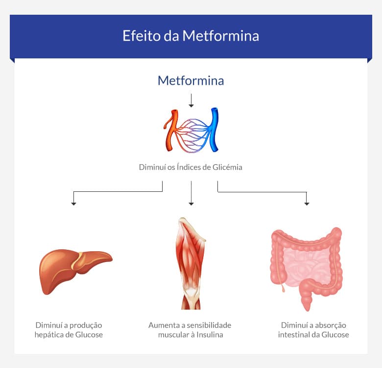 Efeito E Limita Es Da Metformina Euroclinix Brasil