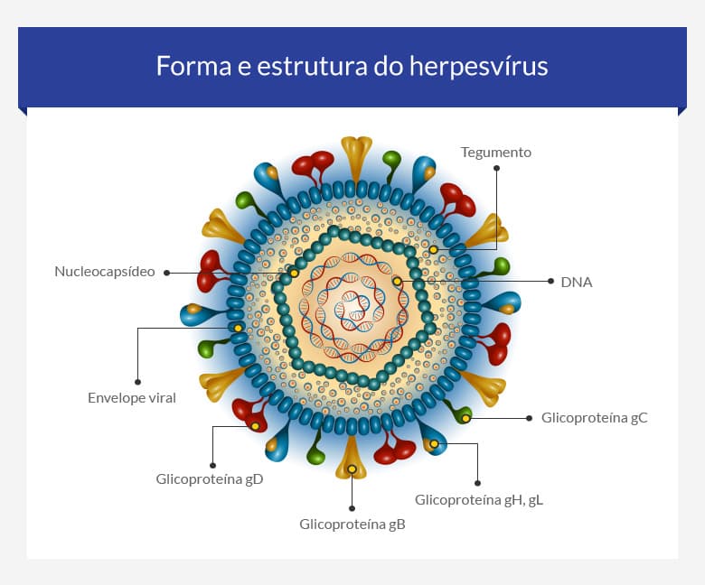 Comprar aciclovir precisa de receita