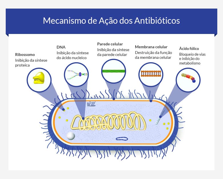 Amoxicillina Como Comprar