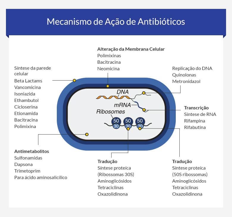 Comprar Azitromicina online Brasil • receita incluída Comprar Azitromicina online Brasil • receita incluída