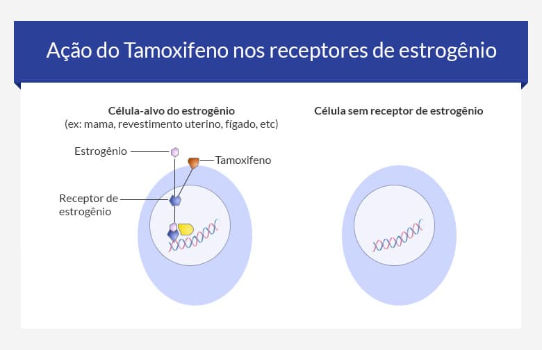 Tamoxifeno Comprar Sem Receita