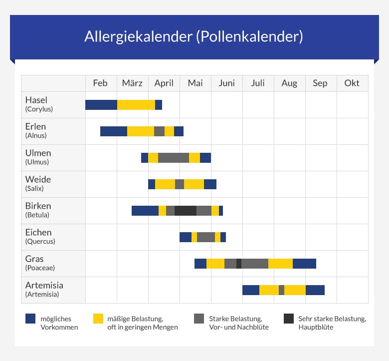 Allergischer Schnupfen • Ursachen & Therapie