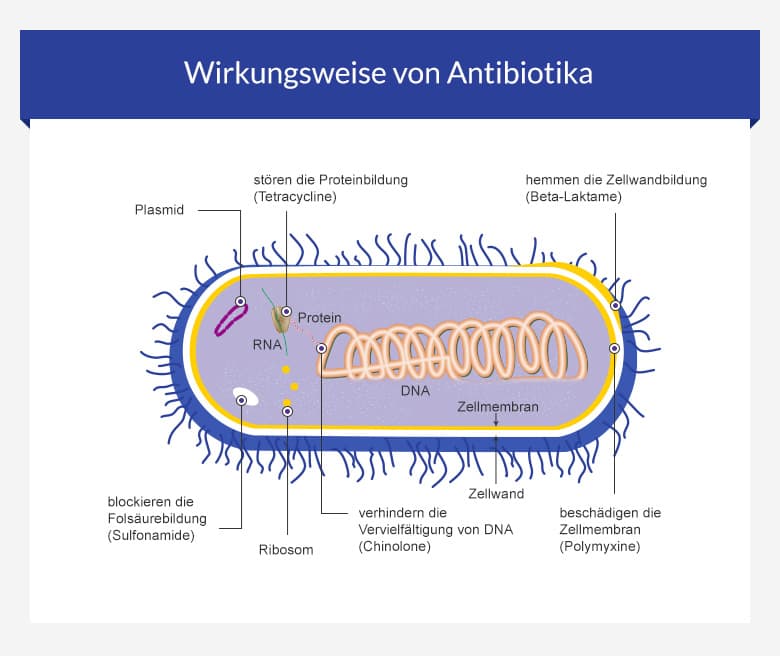 Die medikamentöse Behandlung von Akne • euroClinix®