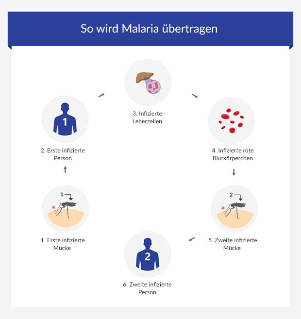 Malaria Guide • Symptome, Vorbeugung & Behandlung • EuroClinix®