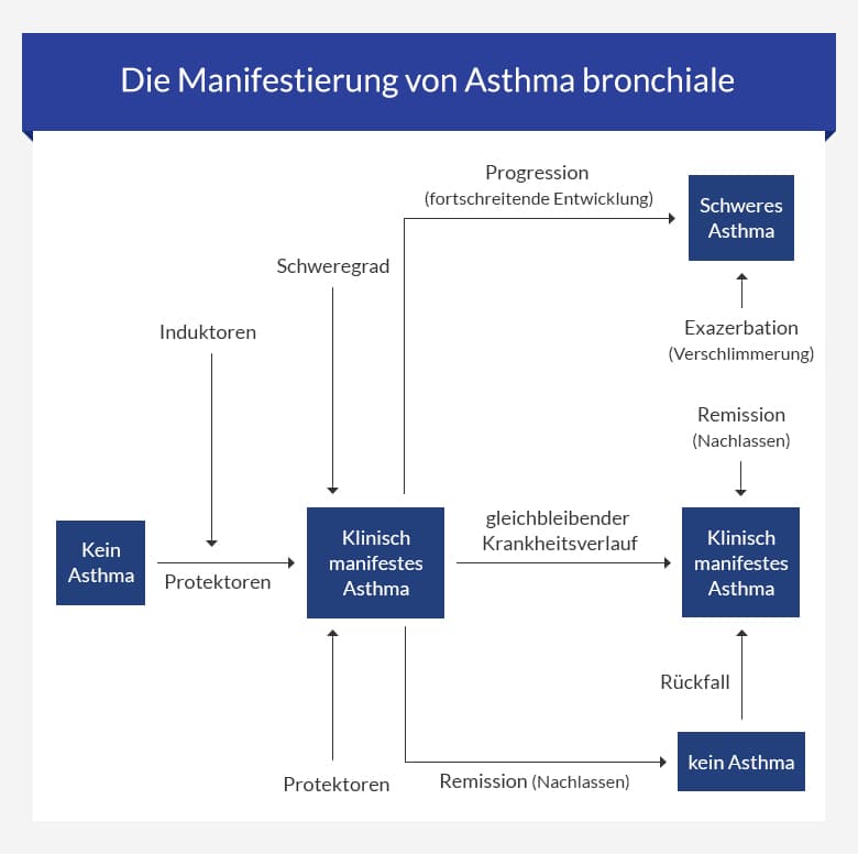 Asthma Bronchiale • Ursachen And Therapie Auf Euroclinix®