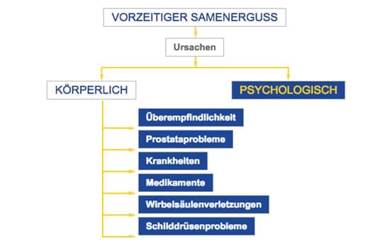 Ejaculatio praecox Ursachen