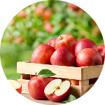 Äpfel img