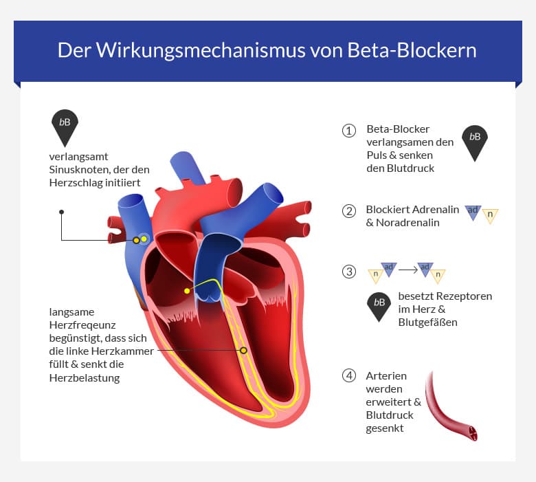 Betablocker • Medikamente, Anwendung, Nebenwirkungen & Definition