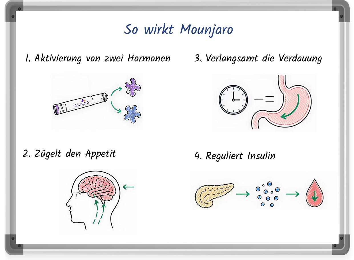 Zeichnung auf einem Whiteboard erklärt, wie Mounjaro beim Abnehmen wirkt