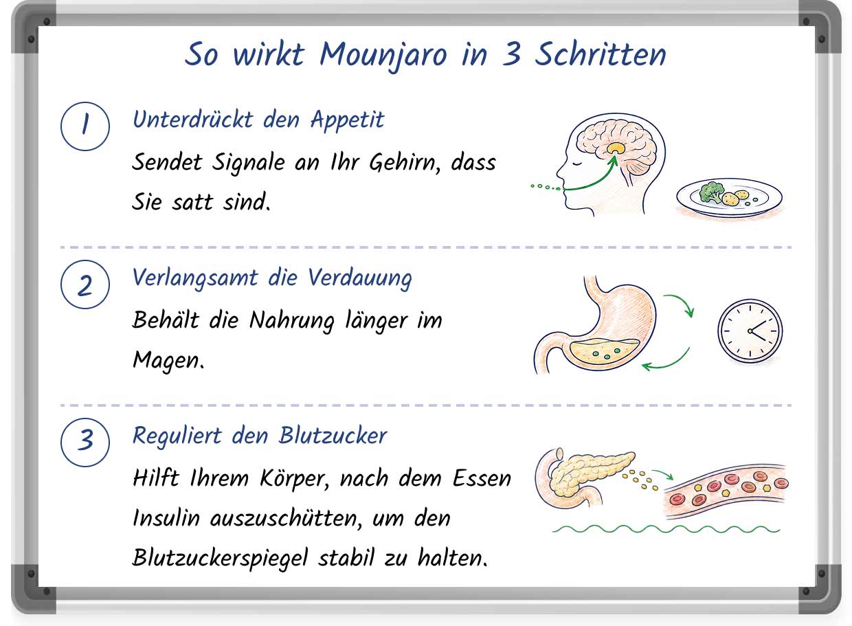 A whiteboard illustration explaining how Mounjaro works for weight loss in 3 steps =