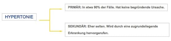 Ursachen Bluthochdruck