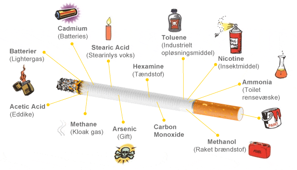 billede nul Arrangement Rygning • Hvad gør rygning ved kroppen? Læs fakta her!