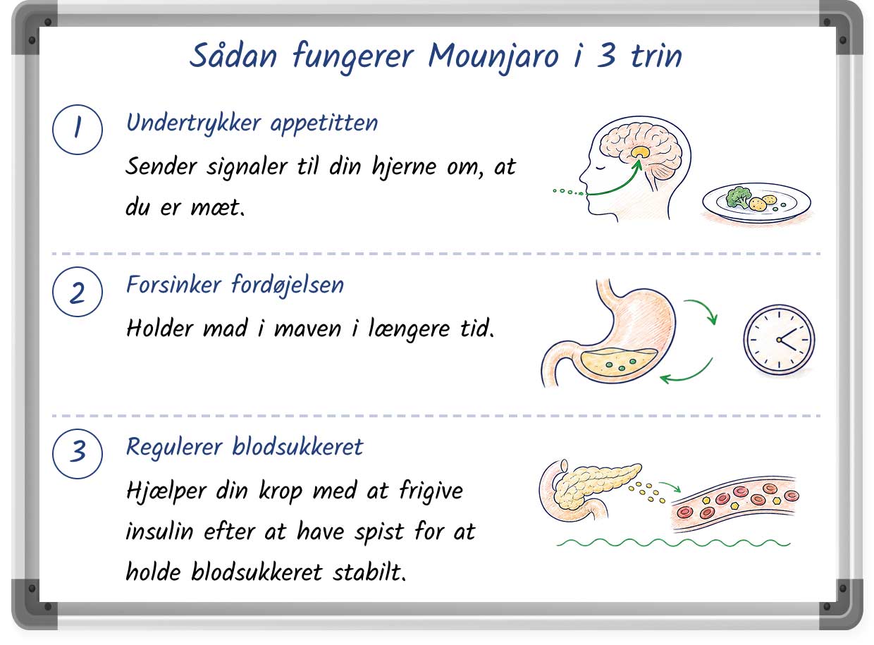 En whiteboard-illustration, der forklarer, hvordan Mounjaro virker til vægttab i 3 trin