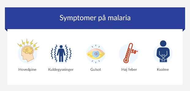 symptoms-of-malaria