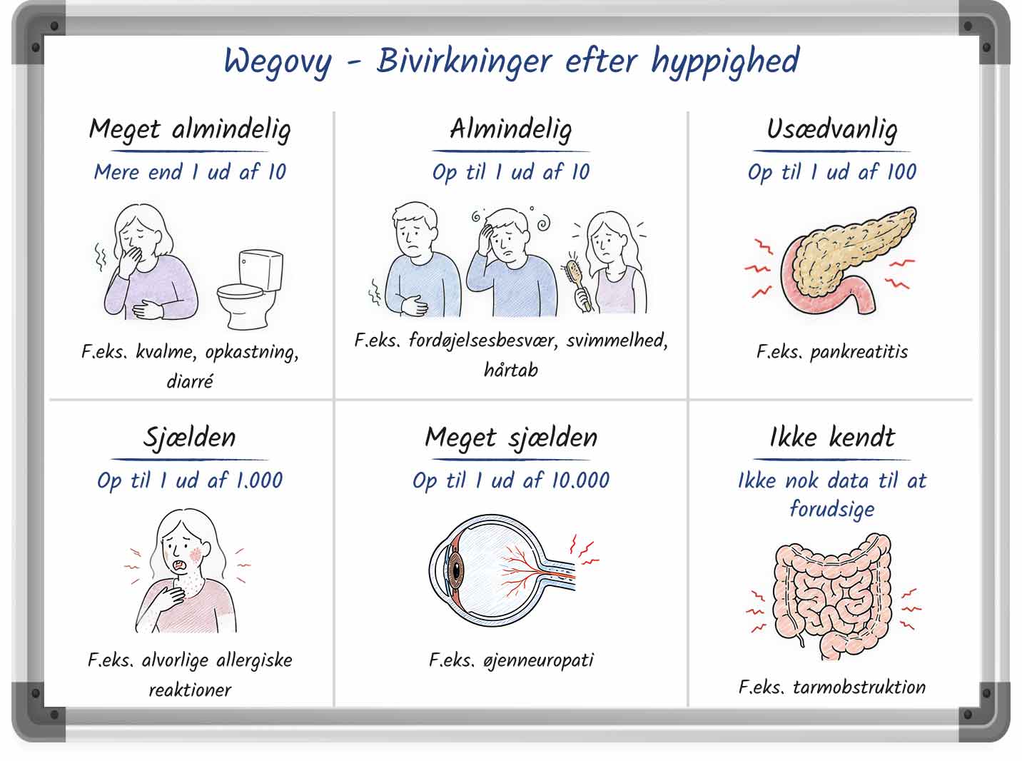 Whiteboard-lignende grafik, der viser bivirkningshyppigheden af &ZeroWidthSpace;&ZeroWidthSpace;Wegovy.