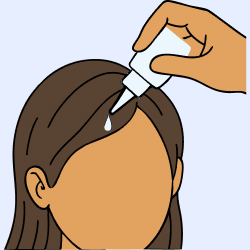 how-to-use2