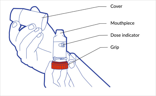 Components of a Symbicort Turbohaler