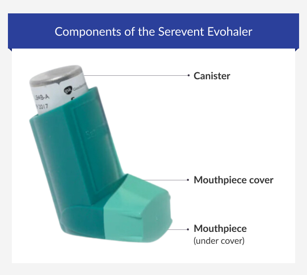 Components of the Serevent Evohaler