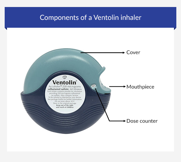 Components of a Ventolin accuhaler