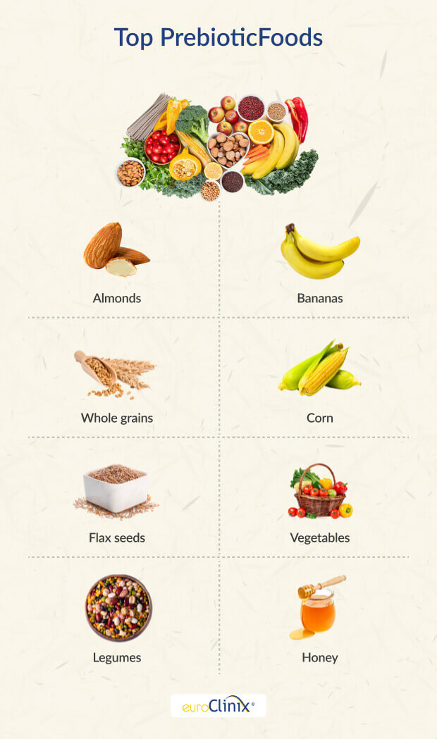 Selection of prebiotic foods on white background.