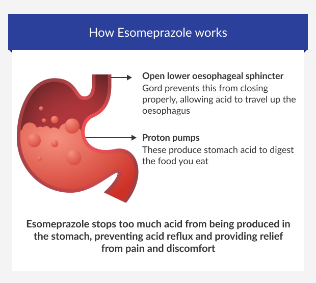 How Esomeprazole treats acid reflux