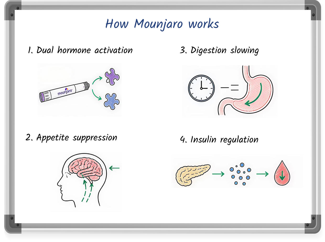 A whiteboard-style drawing explaining how Mounjaro works