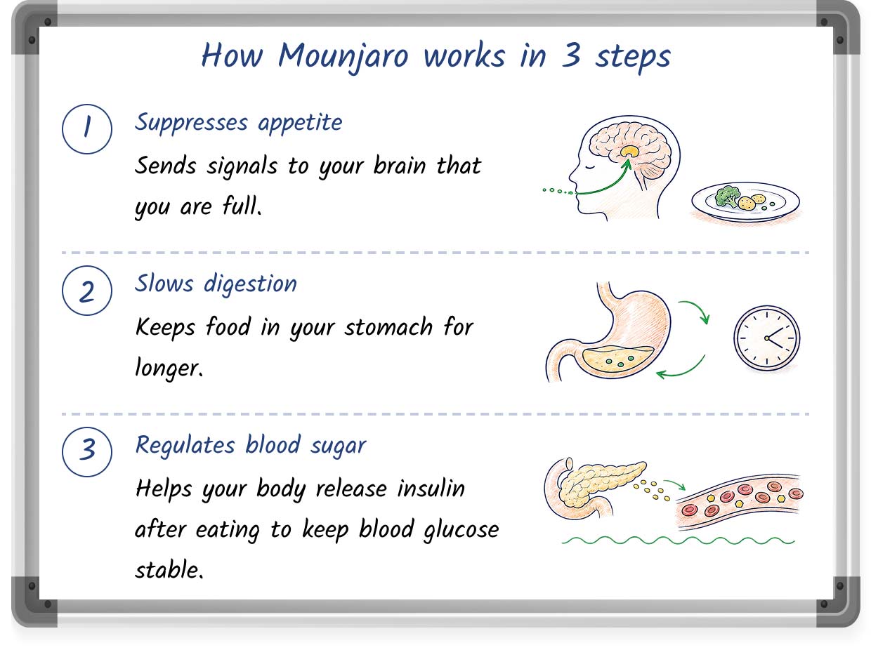 A whiteboard illustration explaining how Mounjaro works for weight loss in 3 steps