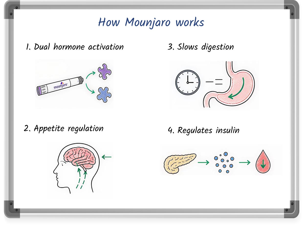 A whiteboard-style drawing explaining how Mounjaro works