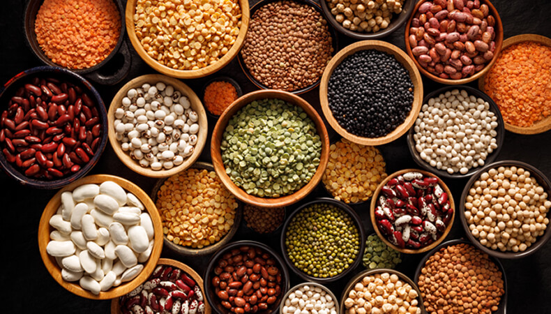 Photo showing various legumes