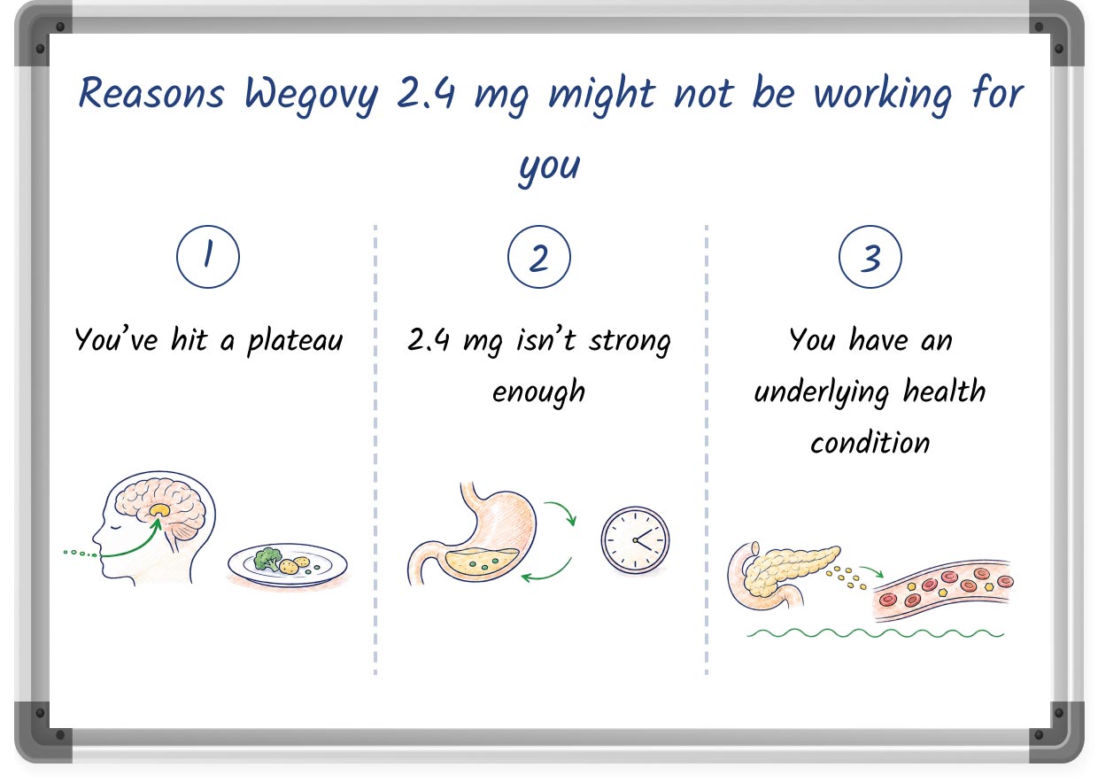 A sketched graphic listing possible reasons why Wegovy 2.4 mg isn’t working