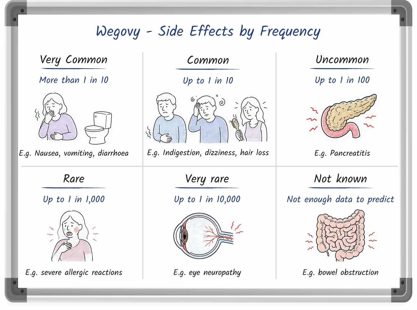 Whiteboard-style graphic showing the side effect frequency of Wegovy.