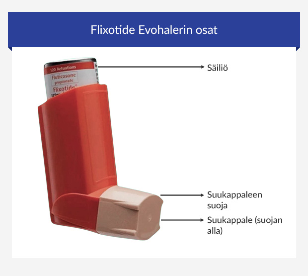 Flixotide Diskuksen osat