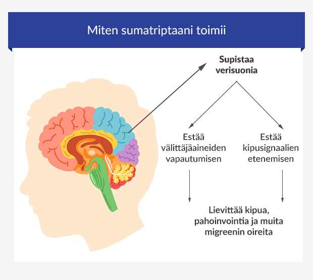 Grafiikka sumatriptaanin toiminnasta aivoissa
