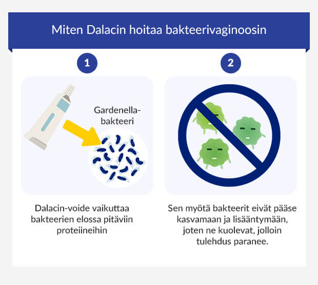Grafik zeigt, wie Sobelin-Creme bakterielle Vaginose behandelt.