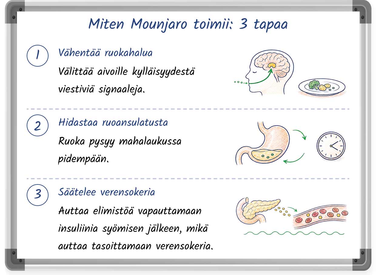 A whiteboard illustration explaining how Mounjaro works for weight loss in 3 steps =