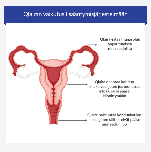 Infografiikka Qlairan vaikutuksista lisääntymisjärjestelmään